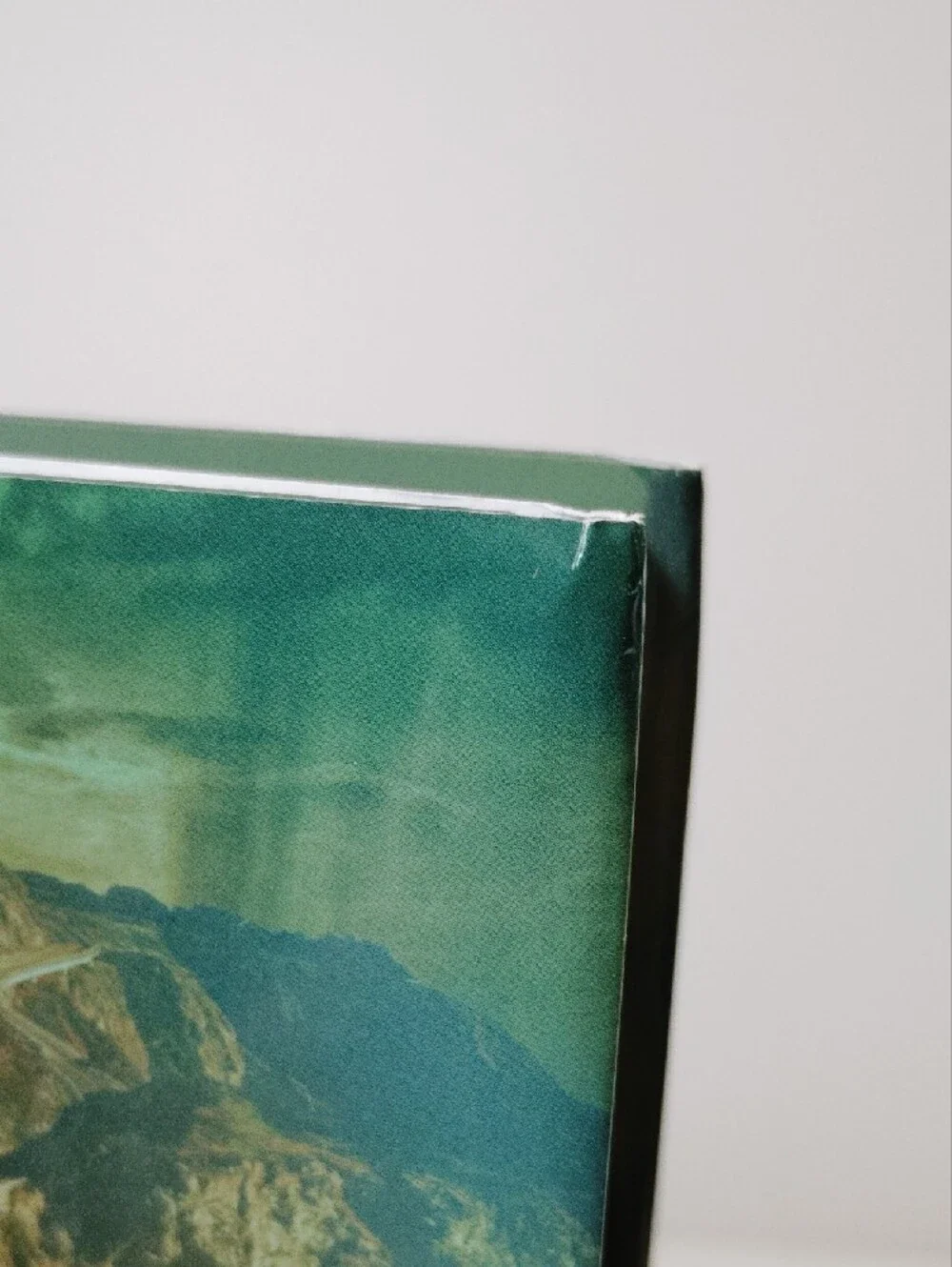 The Unwedding by Ally Condie - Teal & Green Hardcover Novel